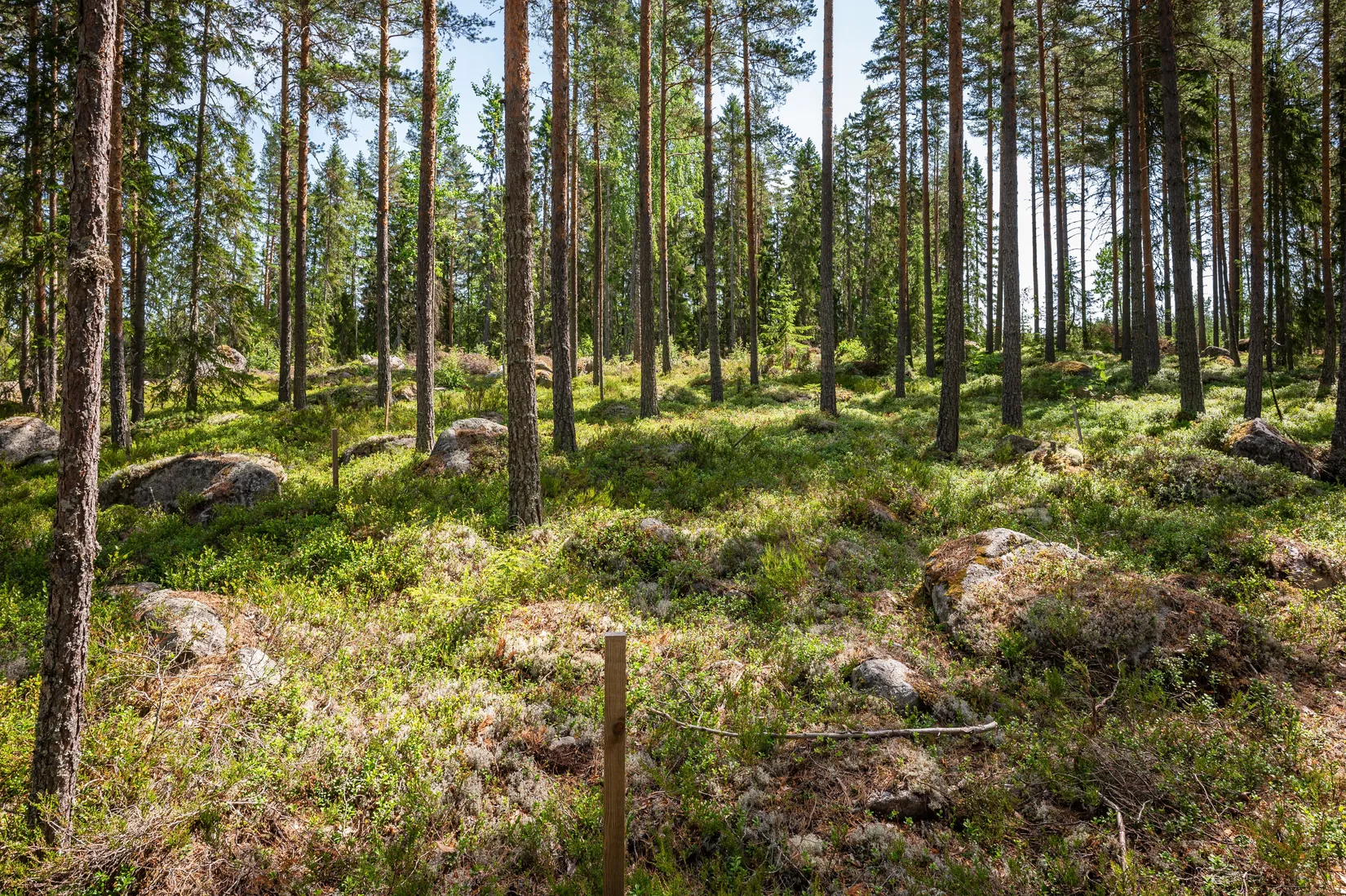Tomt, Vassgalen Östra 4, Vansbro