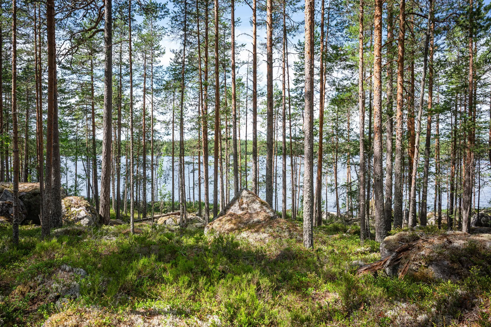 Tomt, Vassgalen Östra 4, Vansbro