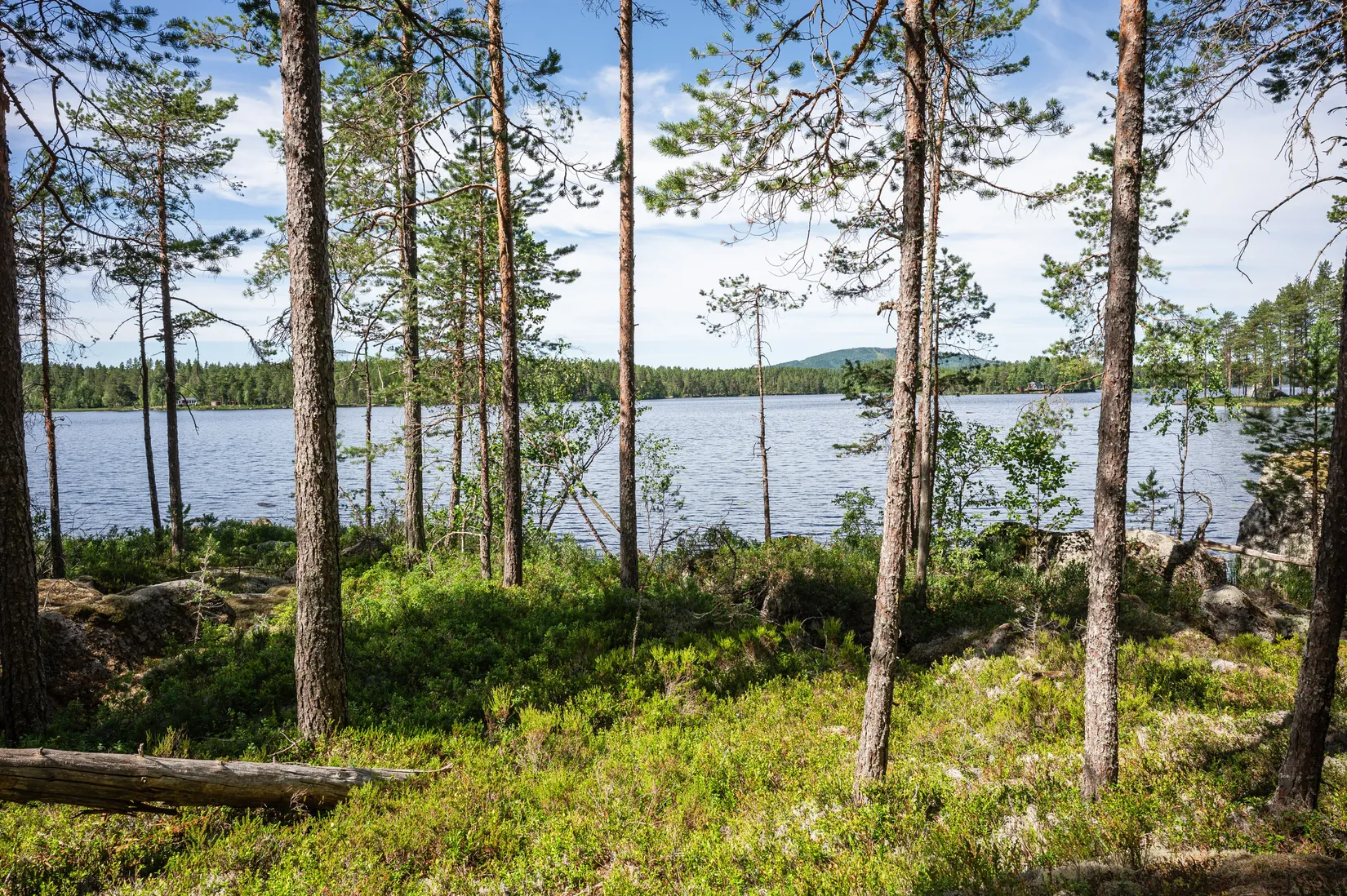 Tomt, Vassgalen Östra 4, Vansbro