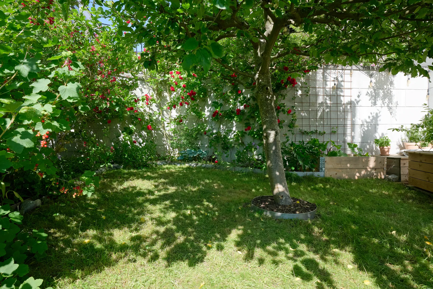 Bostadsrätt, Tengdahlsgatan 49, Södermalm Sofia, Stockholm