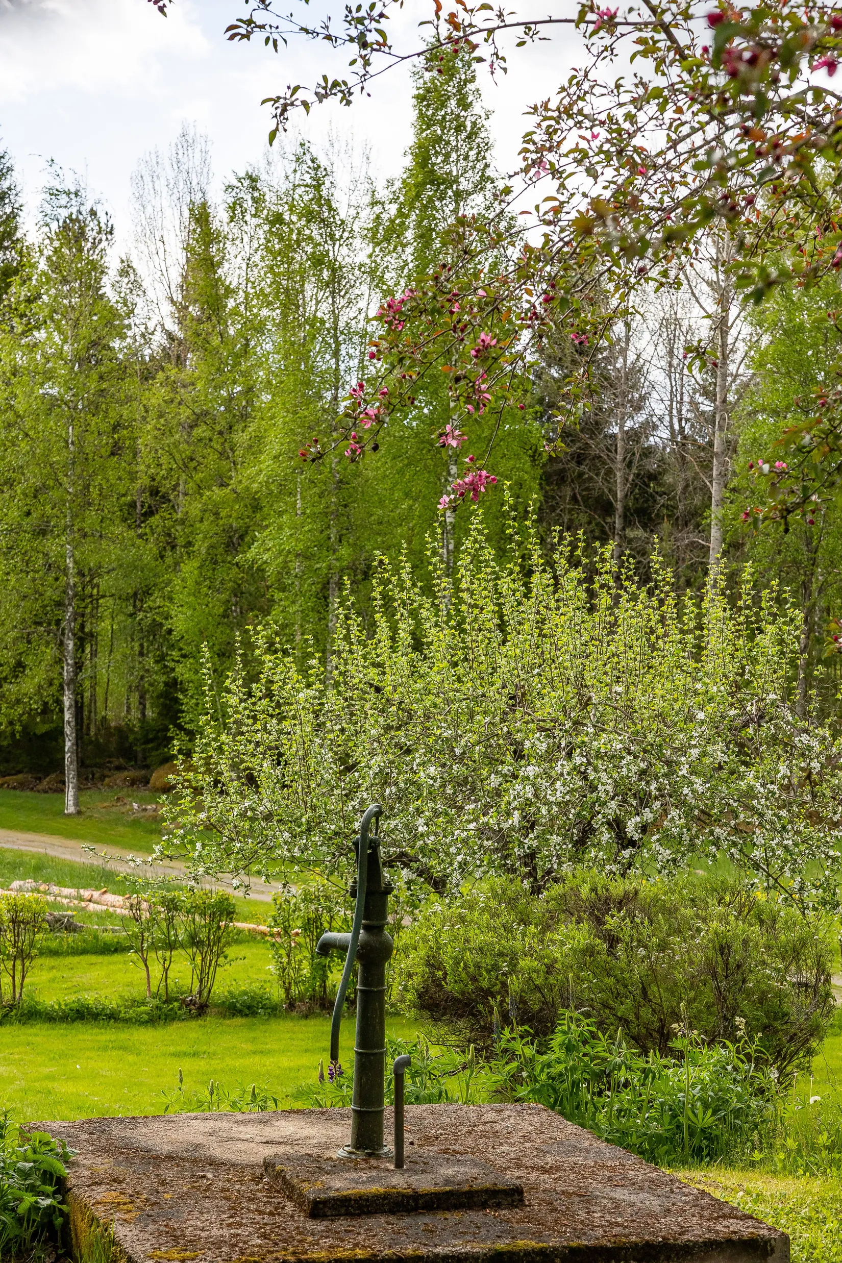 Gård/Skog, Söromberget 10, Ljusdal, Tegeltjär, Ljusdal