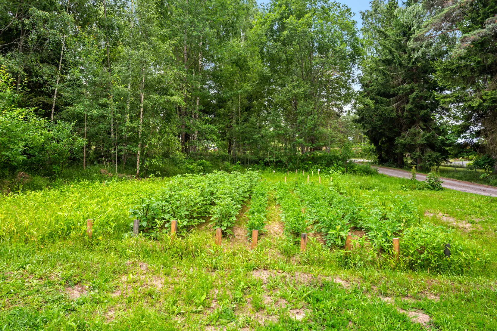 Fritidshus, Stutbyvägen 33, Nynäshamn  Sorunda, Nynäshamn