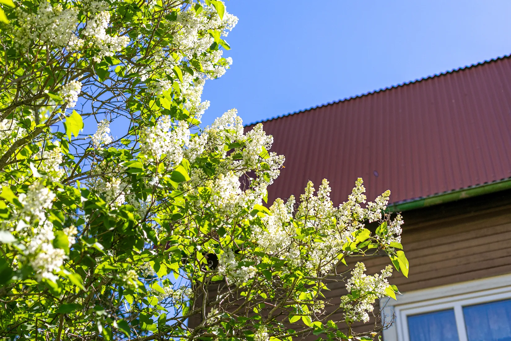 Villa, Näsbyvägen 44, Sandviken