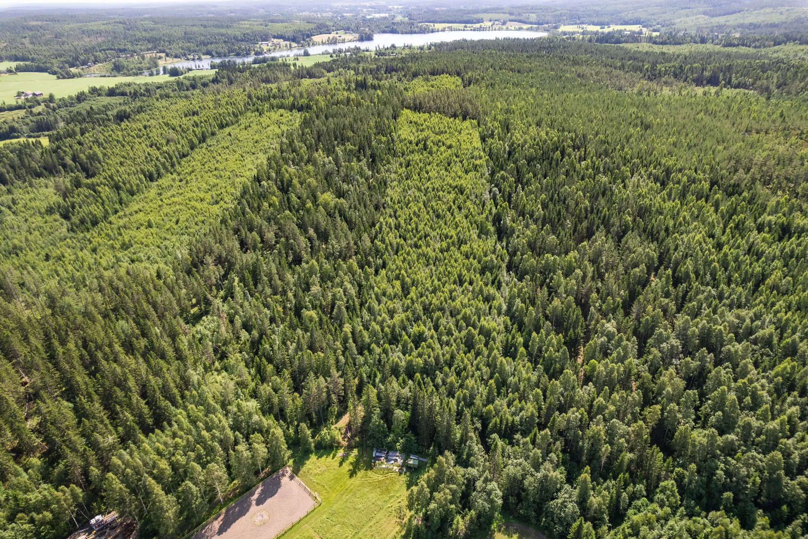 Gård/Skog, Yttre 217, Nordanstig