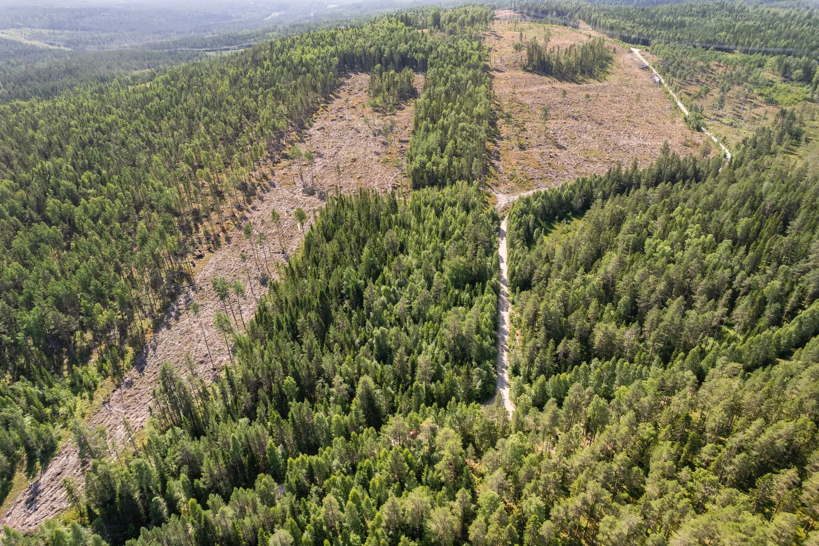 Gård/Skog, Yttre 217, Nordanstig