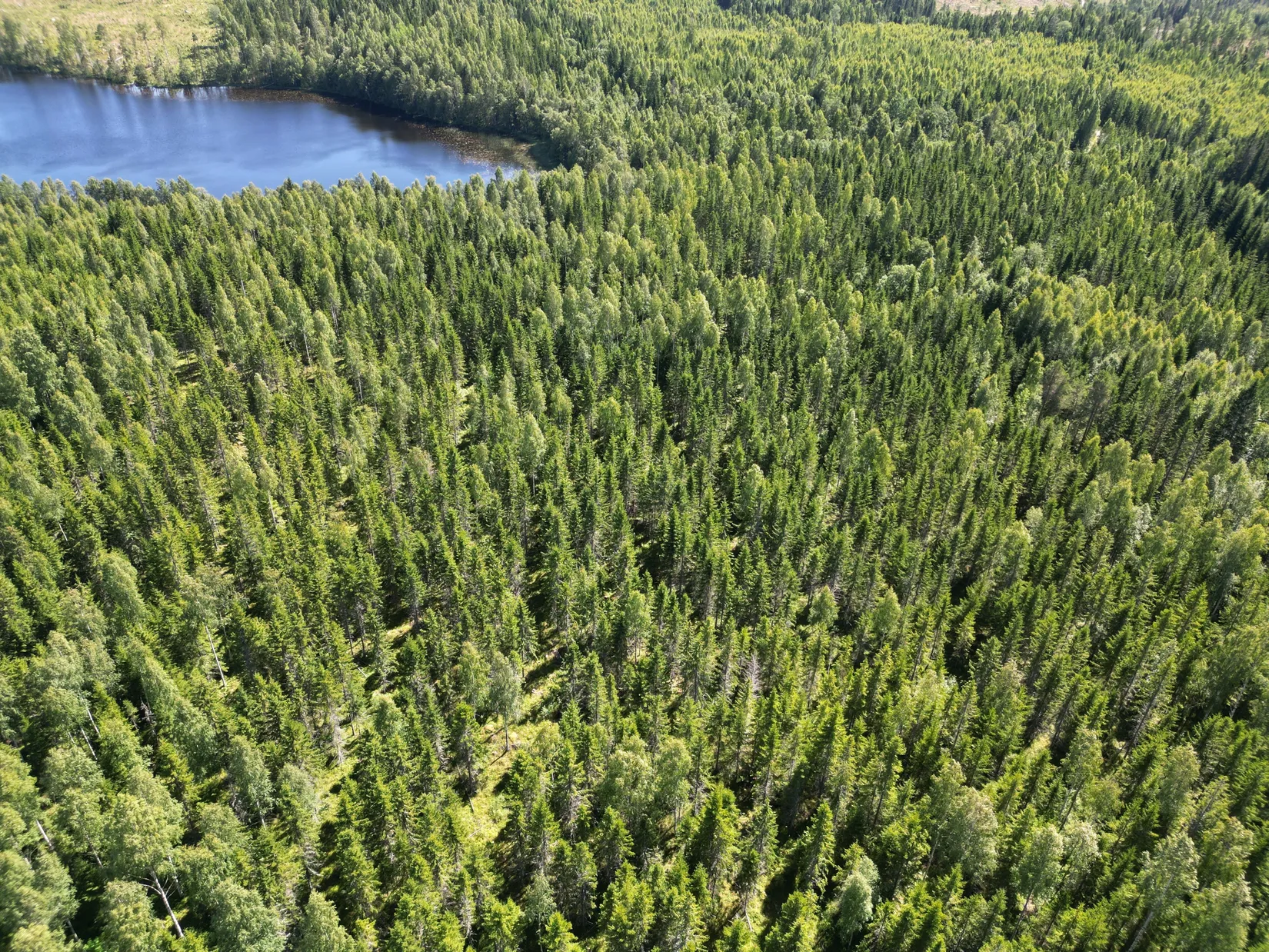 Gård/Skog, NORDANSTIG VÄSTERGRÄNGSJÖ 30:1, 7:2 och 5:10, Gnarp, Nordanstig