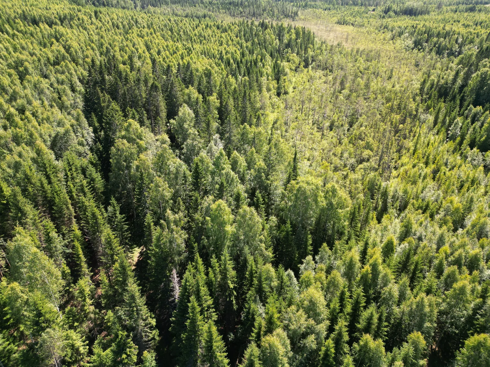 Gård/Skog, NORDANSTIG VÄSTERGRÄNGSJÖ 30:1, 7:2 och 5:10, Gnarp, Nordanstig