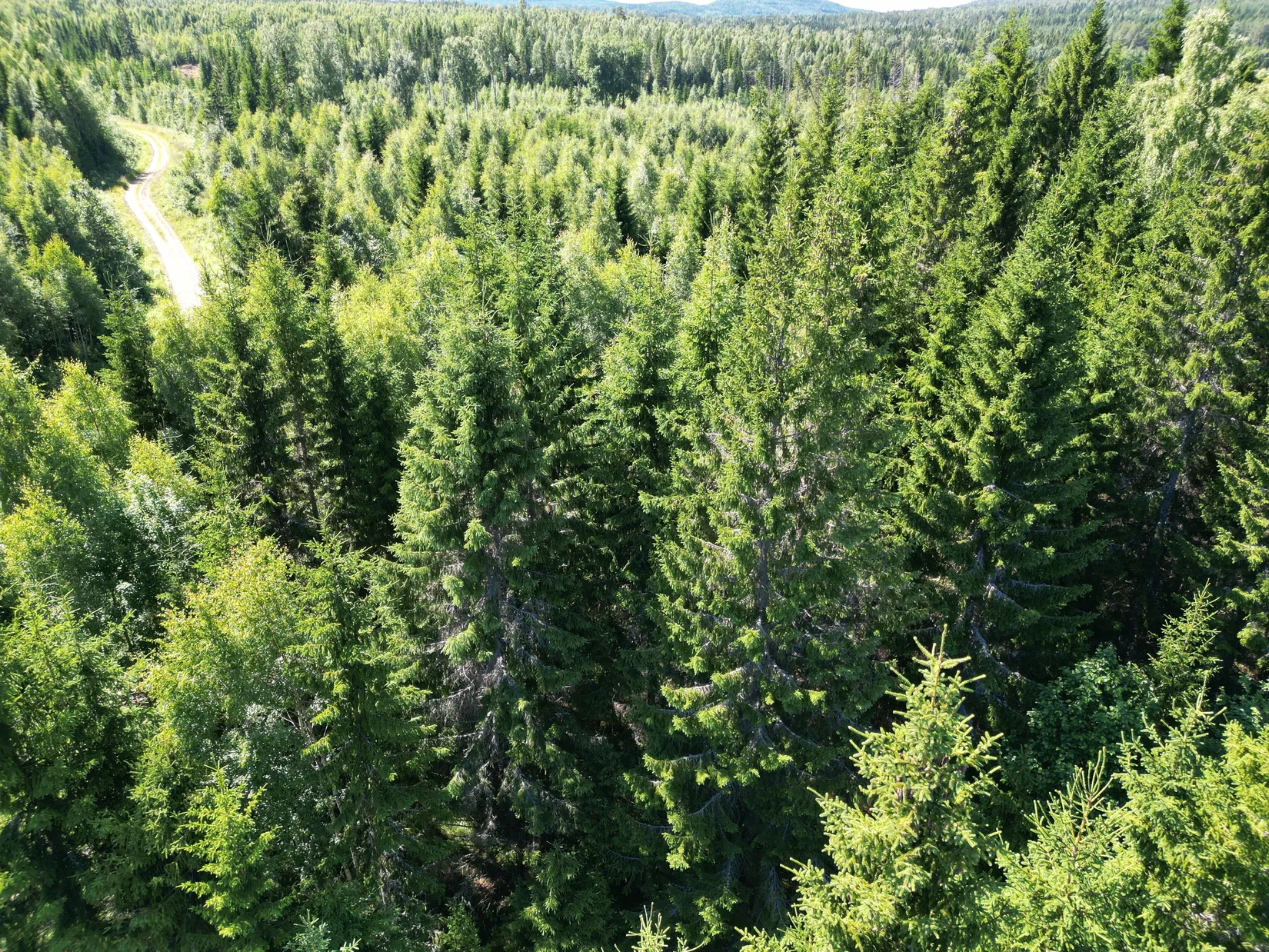 Gård/Skog, NORDANSTIG VÄSTERGRÄNGSJÖ 30:1, 7:2 och 5:10, Gnarp, Nordanstig
