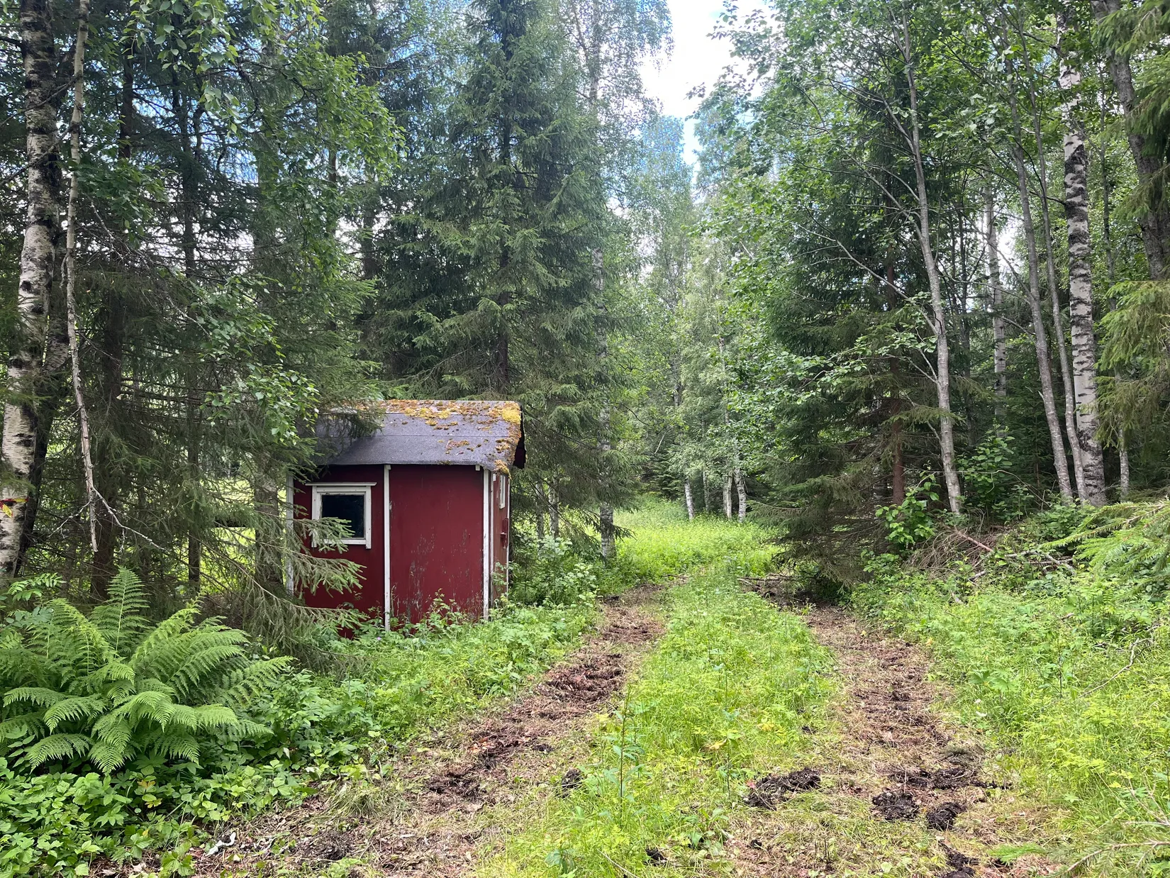 Gård/Skog, NORDANSTIG VÄSTERGRÄNGSJÖ 30:1, 7:2 och 5:10, Gnarp, Nordanstig