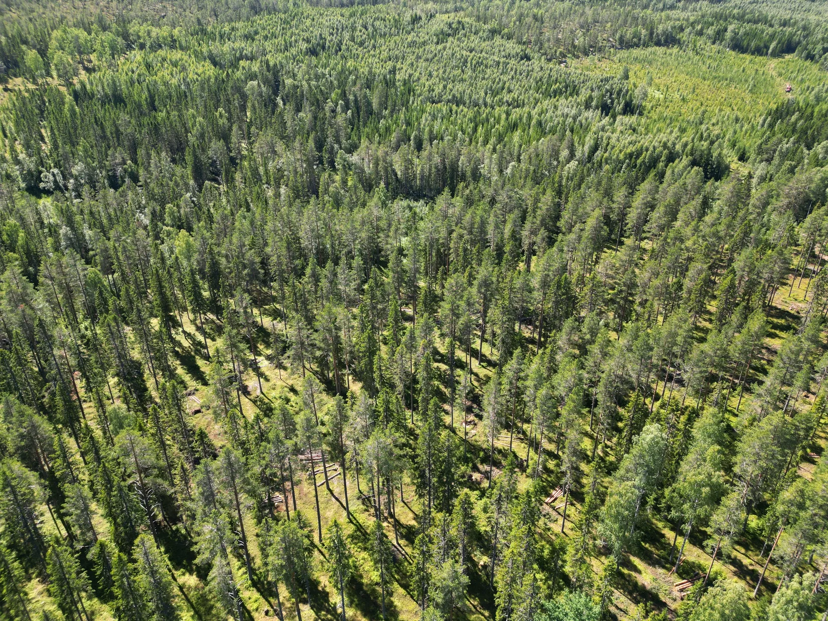 Gård/Skog, NORDANSTIG VÄSTERGRÄNGSJÖ 24:1 och VÄSTERGRÄNGSJÖ3:6, Gnarp, Nordanstig