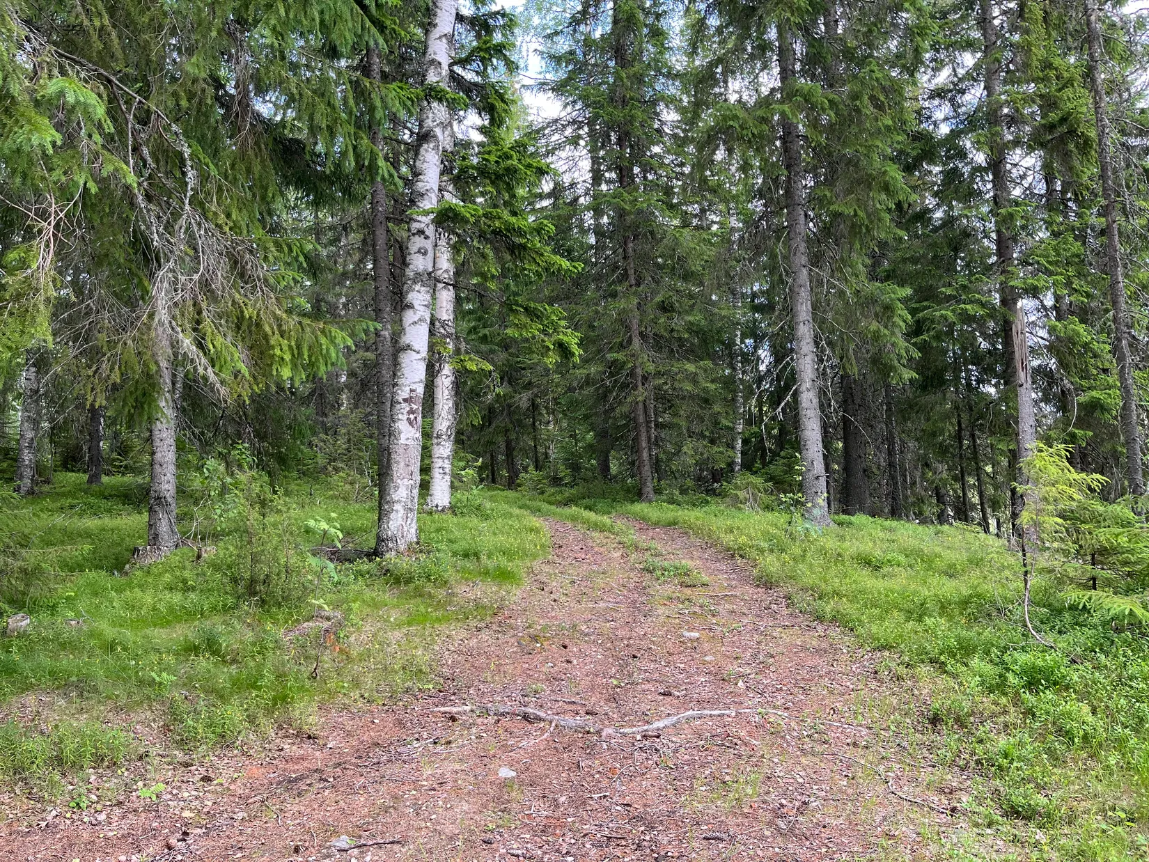 Gård/Skog, NORDANSTIG VÄSTERGRÄNGSJÖ 24:1 och VÄSTERGRÄNGSJÖ3:6, Gnarp, Nordanstig