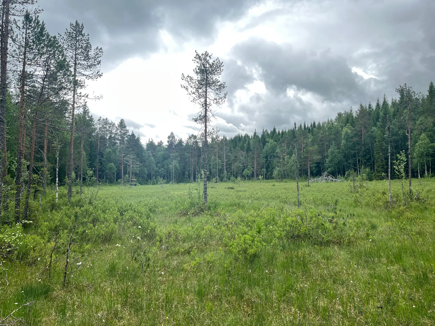 Gård/Skog, NORDANSTIG VÄSTERGRÄNGSJÖ 24:1 och VÄSTERGRÄNGSJÖ3:6, Gnarp, Nordanstig
