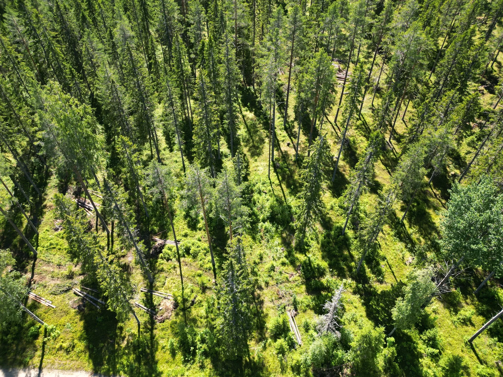 Gård/Skog, NORDANSTIG VÄSTERGRÄNGSJÖ 24:1 och VÄSTERGRÄNGSJÖ3:6, Gnarp, Nordanstig