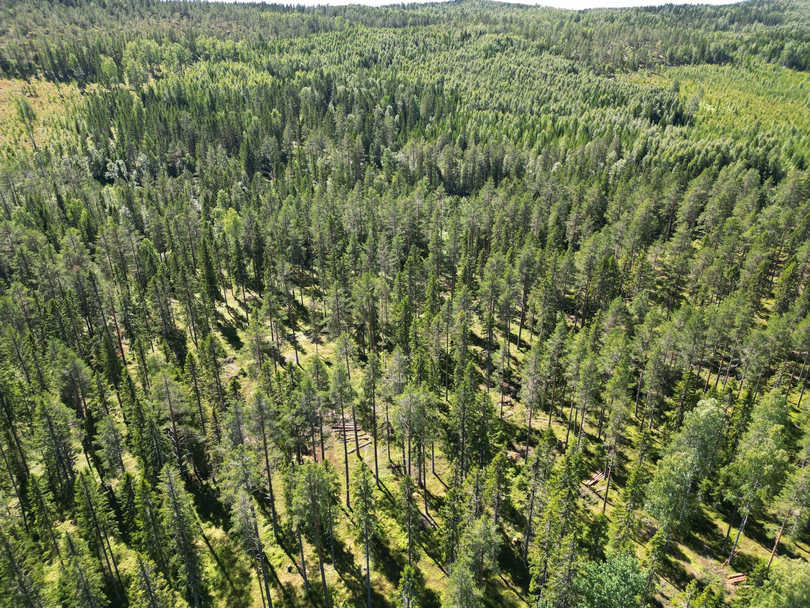 Gård/Skog, NORDANSTIG VÄSTERGRÄNGSJÖ 24:1 och VÄSTERGRÄNGSJÖ3:6, Gnarp, Nordanstig
