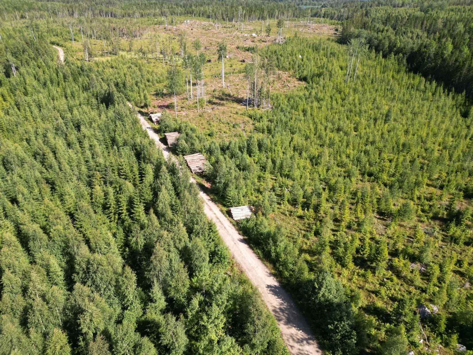 Gård/Skog, NORDANSTIG VÄSTERGRÄNGSJÖ 24:1 och VÄSTERGRÄNGSJÖ3:6, Gnarp, Nordanstig
