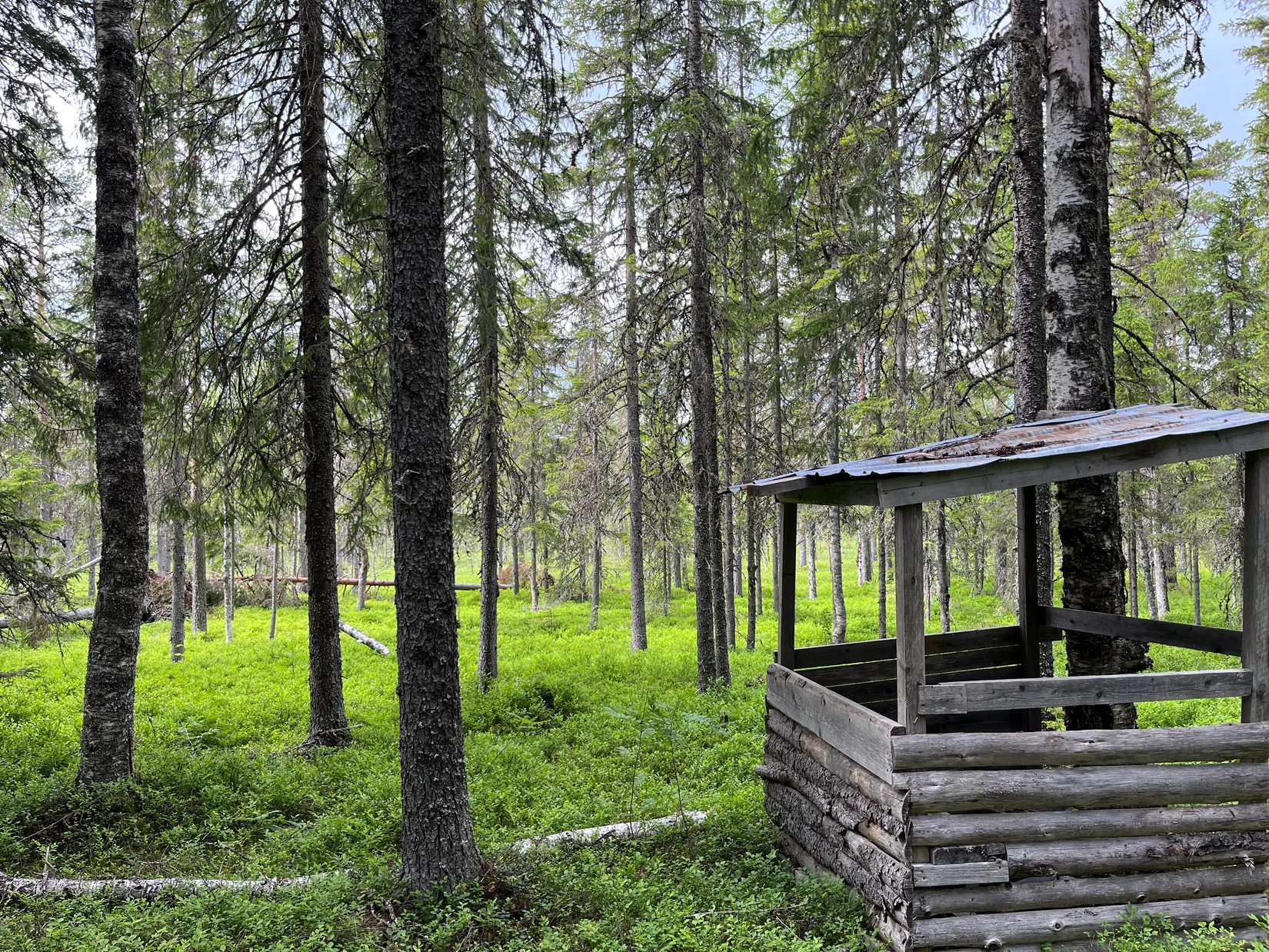 Gård/Skog, NORDANSTIG VÄSTERGRÄNGSJÖ 24:1 och VÄSTERGRÄNGSJÖ3:6, Gnarp, Nordanstig