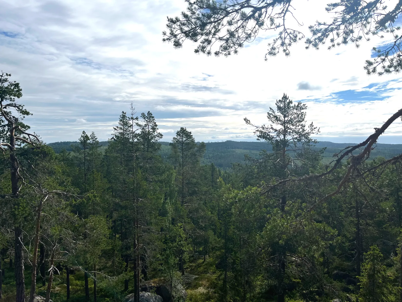 Gård/Skog, NORDANSTIG VÄSTERGRÄNGSJÖ 24:1 och VÄSTERGRÄNGSJÖ3:6, Gnarp, Nordanstig