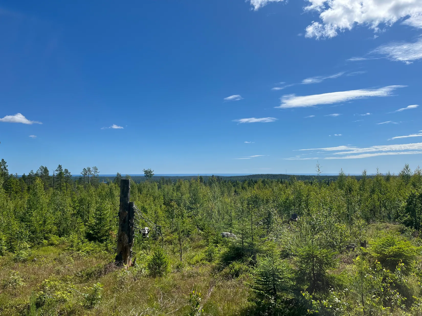 Gård/Skog, NORDANSTIG GRYTTJE 2:12, Gnarp, Nordanstig