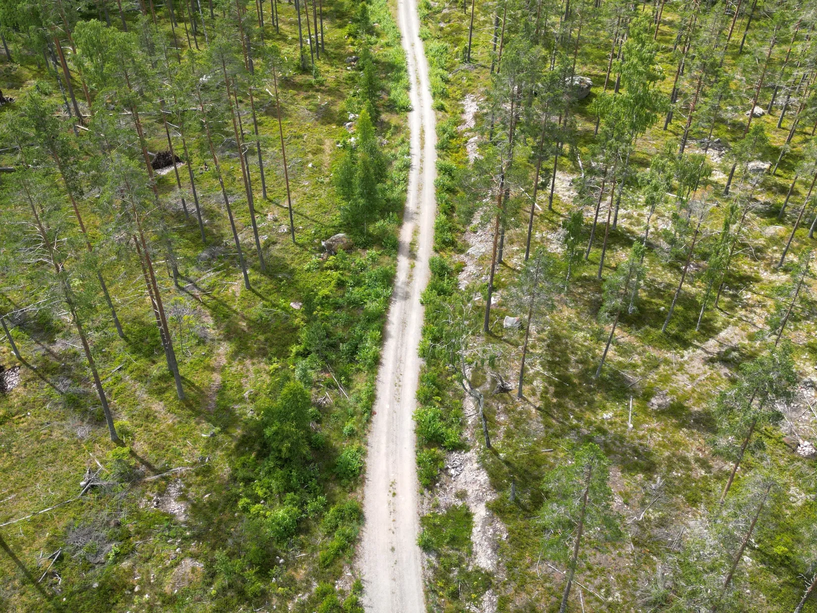 Gård/Skog, NORDANSTIG GRYTTJE 2:12, Gnarp, Nordanstig