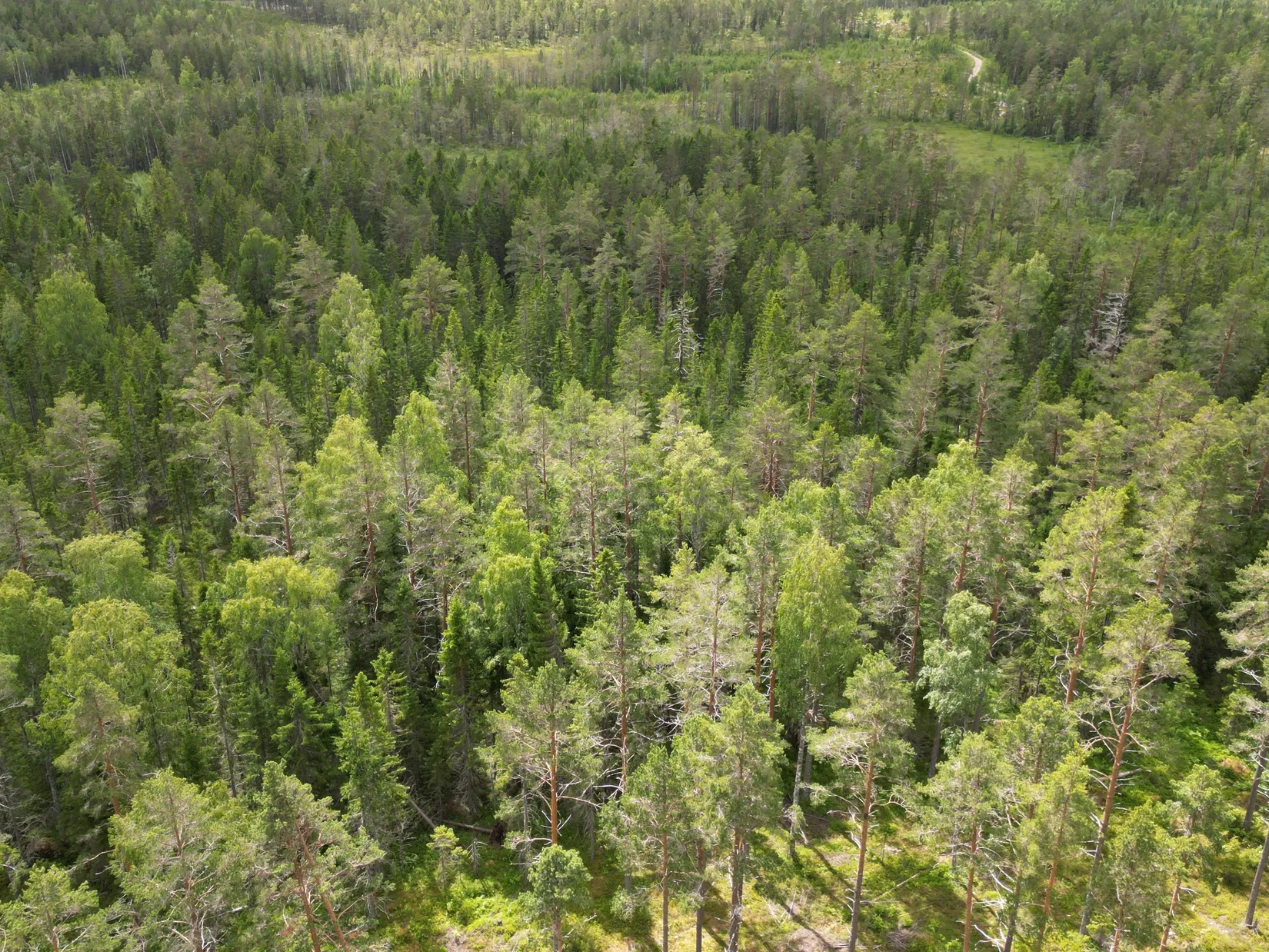 Gård/Skog, NORDANSTIG GRYTTJE 2:12, Gnarp, Nordanstig