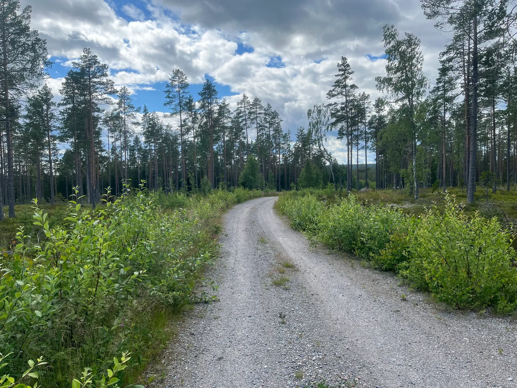 Gård/Skog, NORDANSTIG GRYTTJE 2:12, Gnarp, Nordanstig
