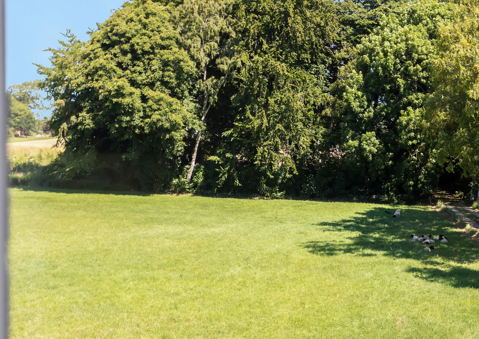 Villa, Storgatan 51, Löderup, Ystad