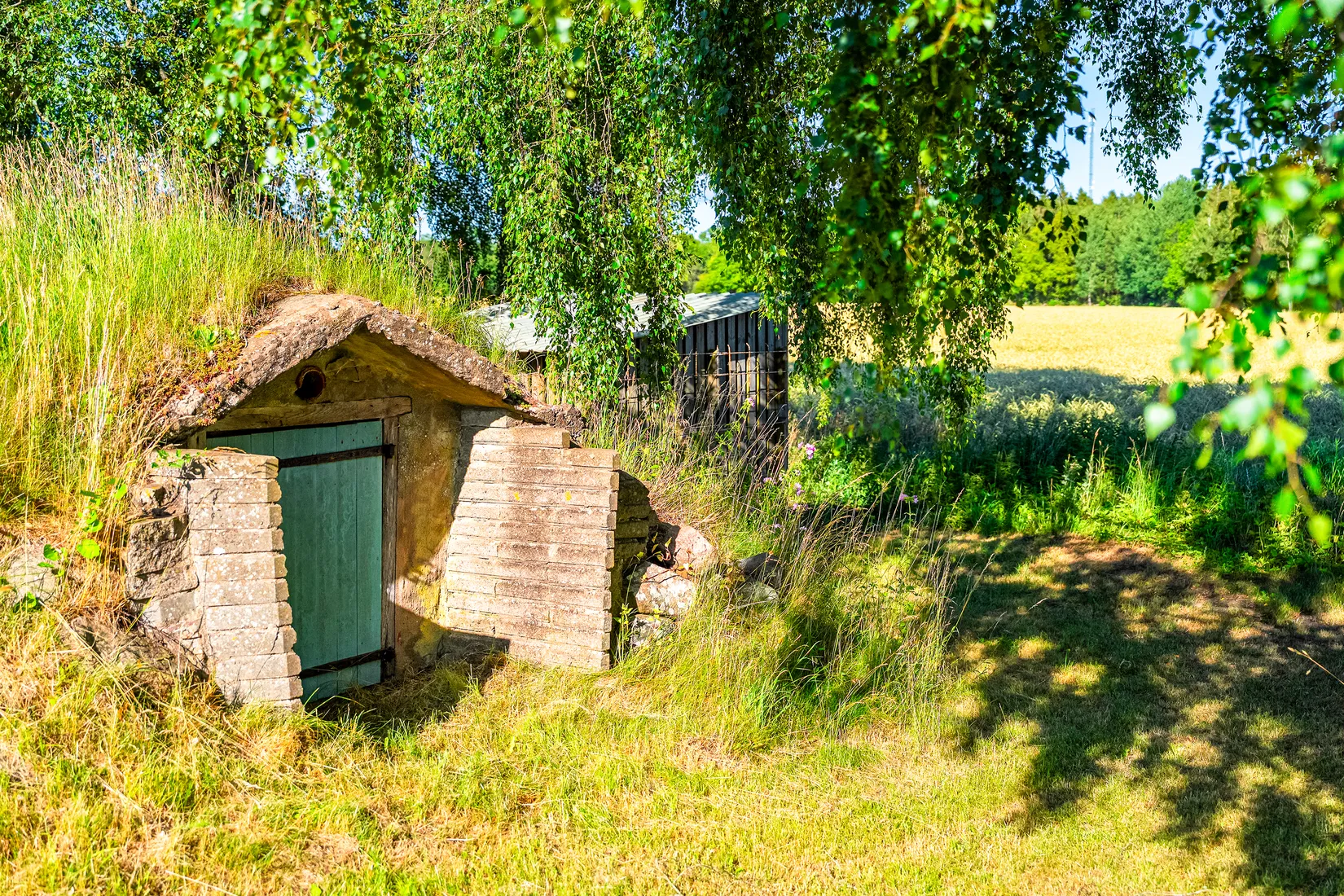 Villa, Träne byaväg 41, Träne, Kristianstad