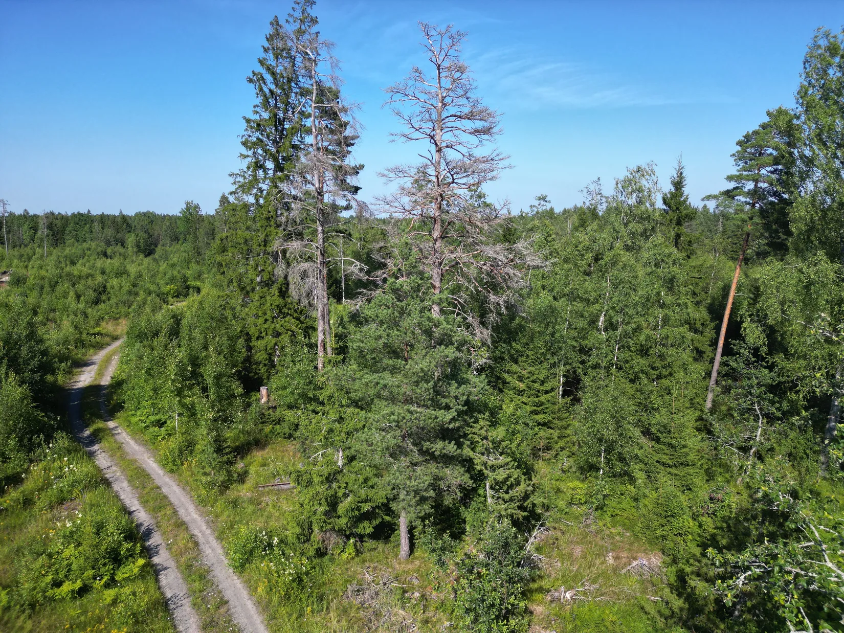 Tomt, Bondängen 3, Uppland, Uppsala