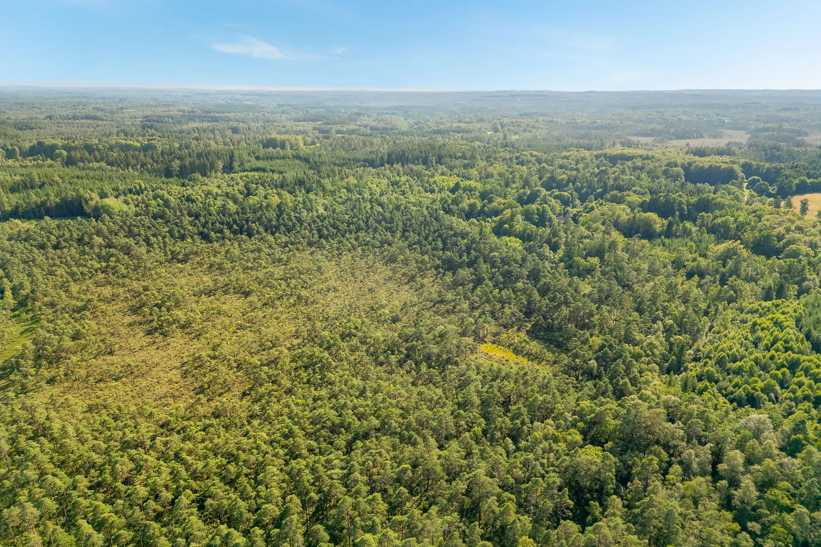 Gård/Skog, Bälinge 407, Perstorp