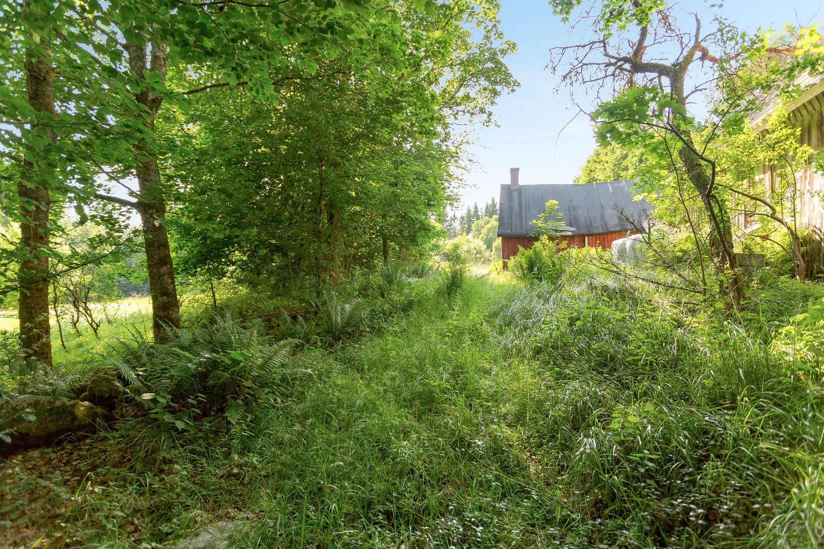 Gård/Skog, Bälinge 407, Perstorp