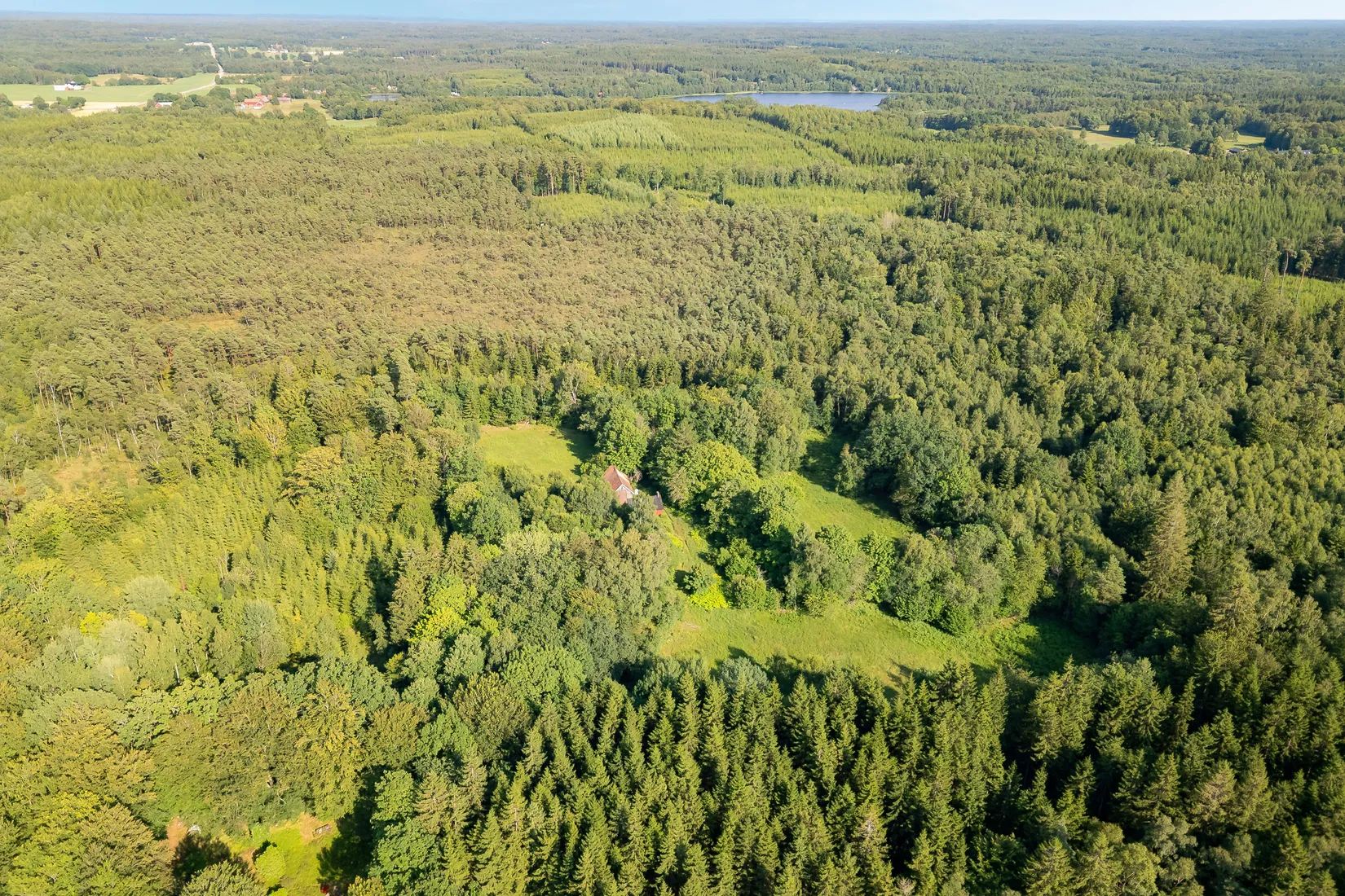 Gård/Skog, Bälinge 407, Perstorp