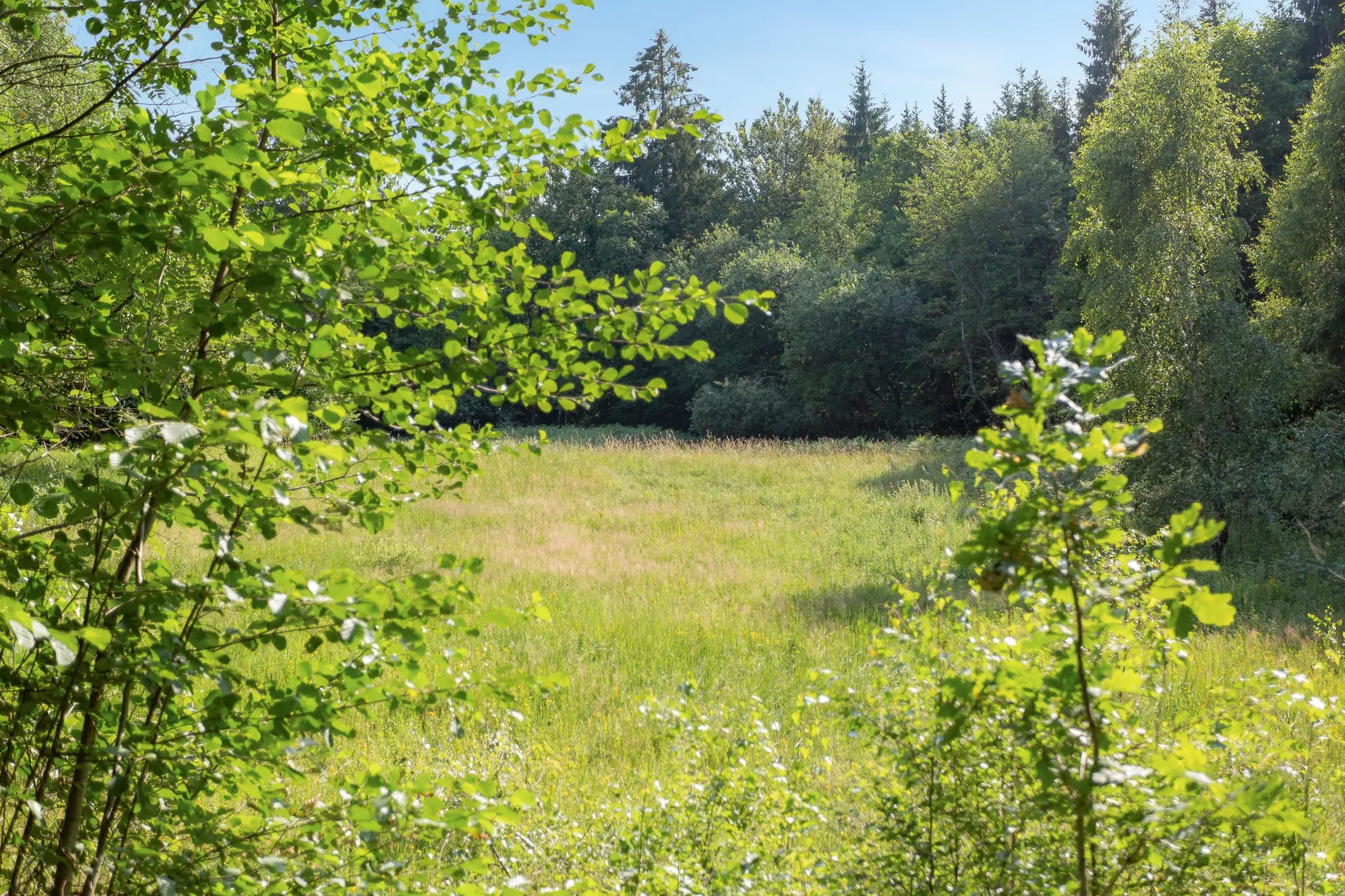 Gård/Skog, Bälinge 407, Perstorp