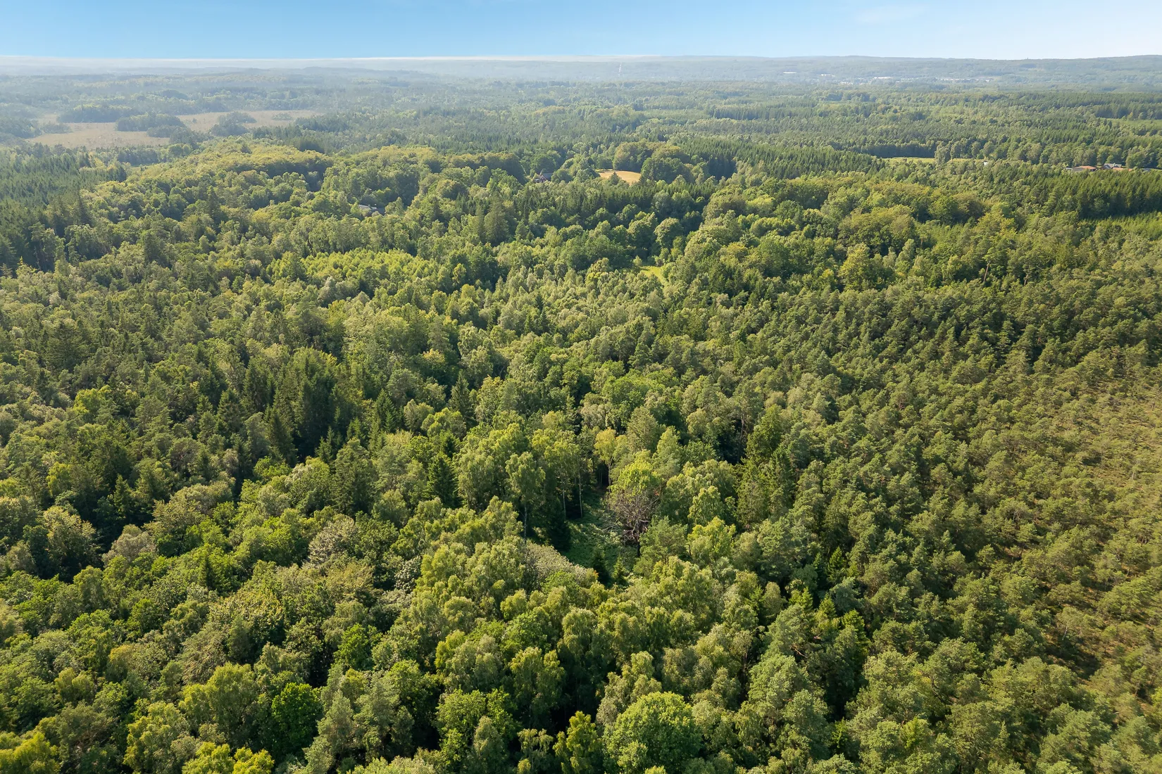 Gård/Skog, Bälinge 407, Perstorp