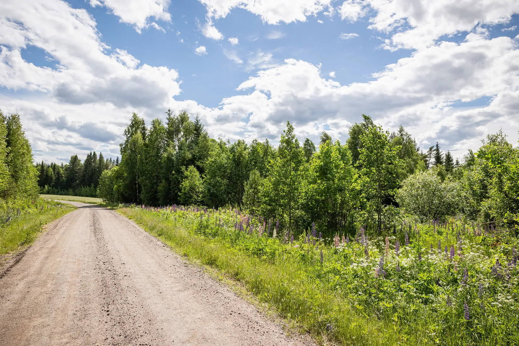 Gård/Skog, LJUSDAL FÖNE 7:9 och LJUSDAL FÖNE 11:7, Ljusdal