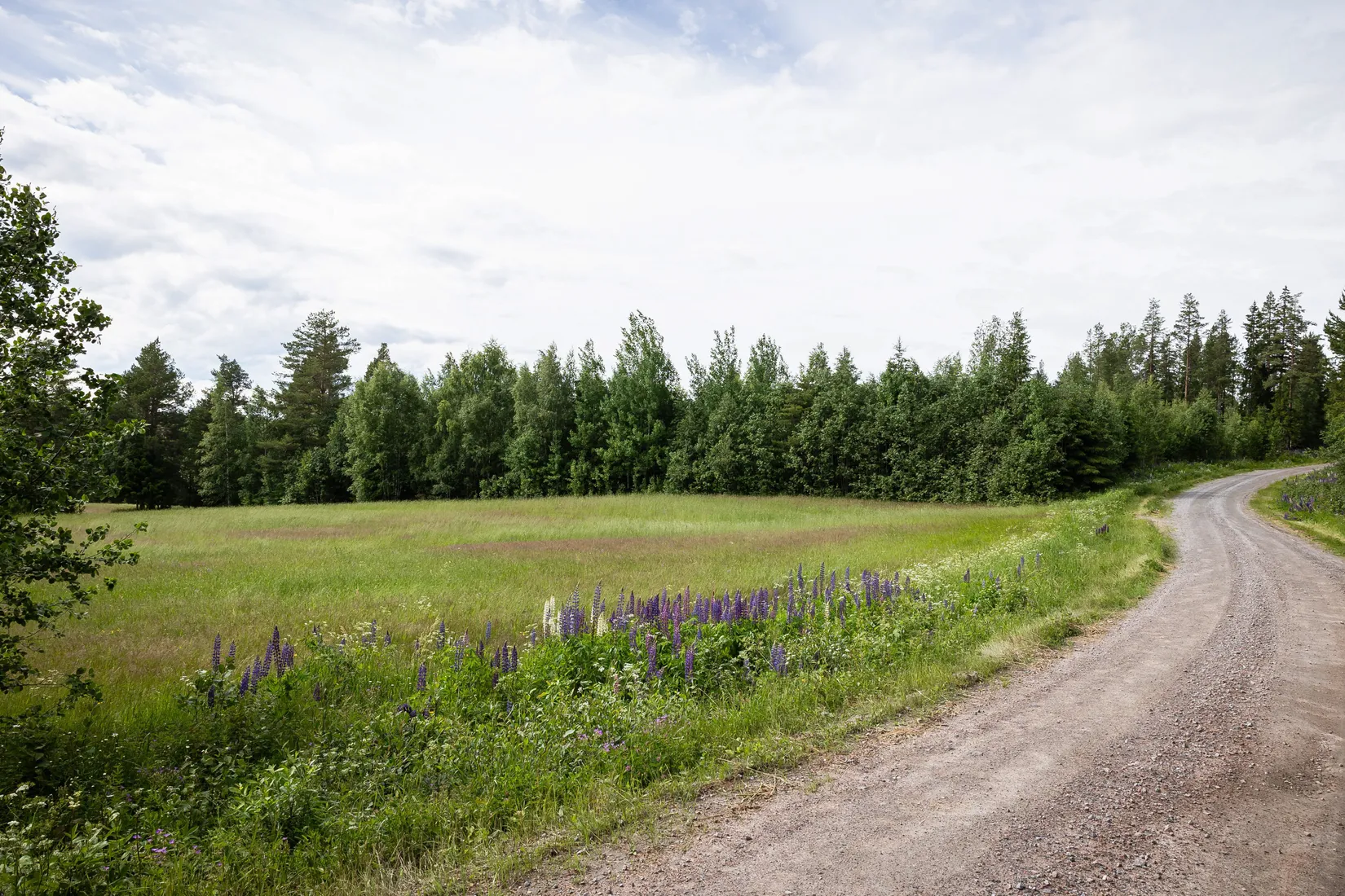 Gård/Skog, LJUSDAL FÖNE 7:9 och LJUSDAL FÖNE 11:7, Ljusdal