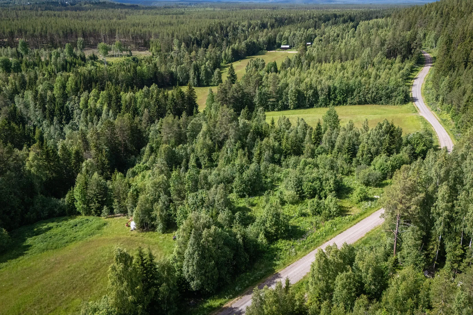 Gård/Skog, LJUSDAL FÖNE 7:9 och LJUSDAL FÖNE 11:7, Ljusdal