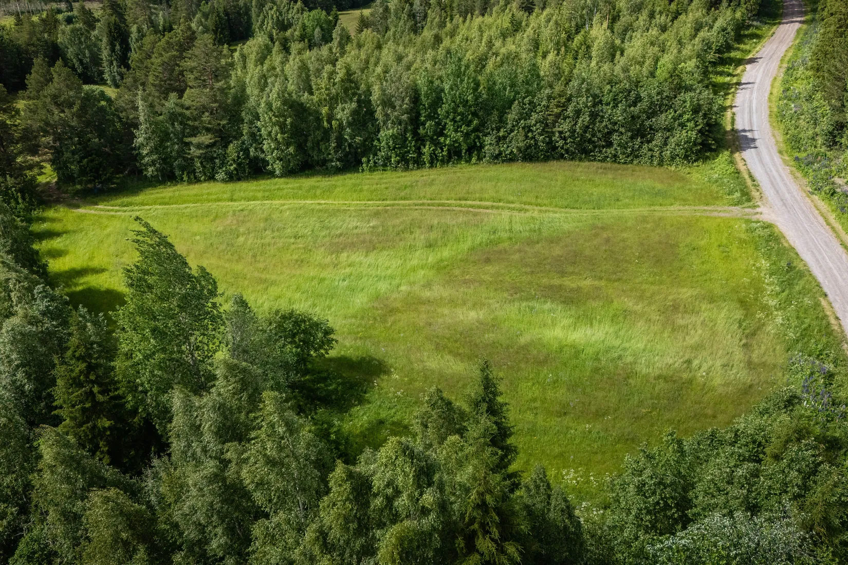 Gård/Skog, LJUSDAL FÖNE 7:9 och LJUSDAL FÖNE 11:7, Ljusdal