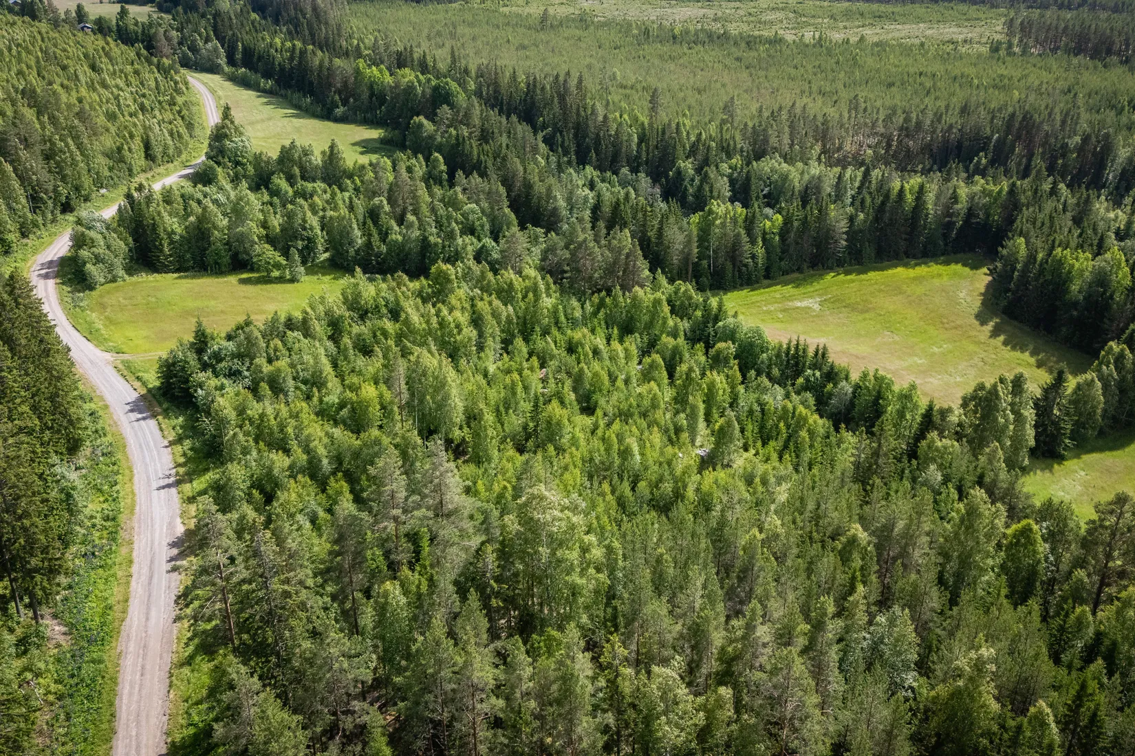 Gård/Skog, LJUSDAL FÖNE 7:9 och LJUSDAL FÖNE 11:7, Ljusdal