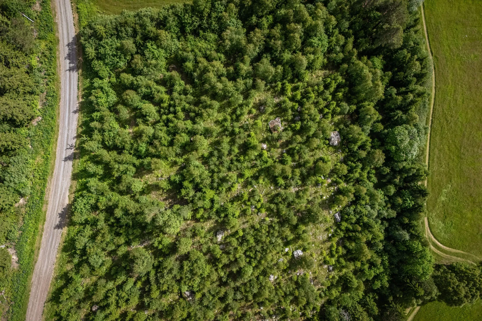 Gård/Skog, LJUSDAL FÖNE 7:9 och LJUSDAL FÖNE 11:7, Ljusdal
