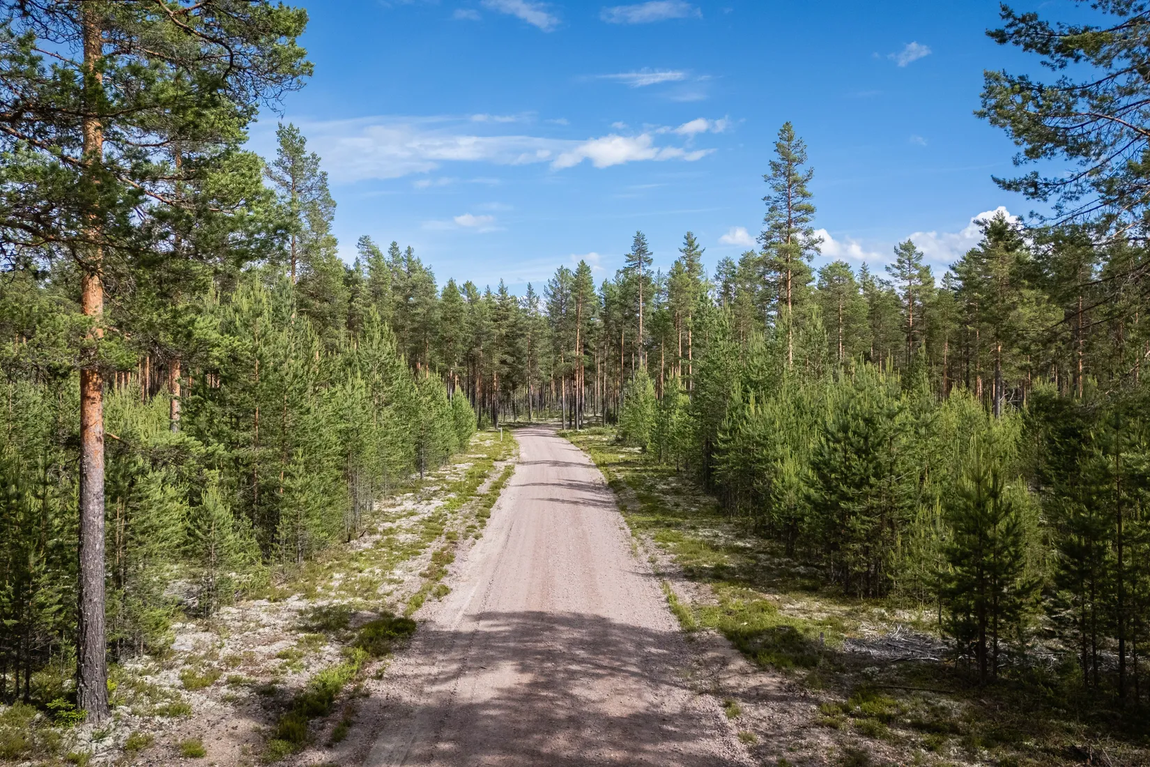 Gård/Skog, LJUSDAL FÖNE 7:9 och LJUSDAL FÖNE 11:7, Ljusdal