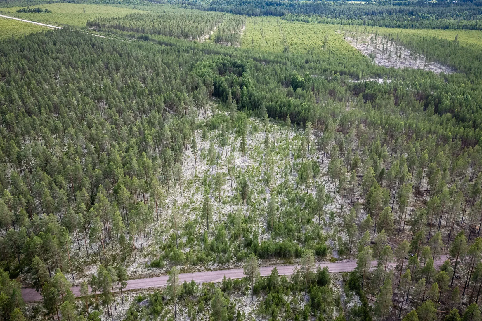 Gård/Skog, LJUSDAL FÖNE 7:9 och LJUSDAL FÖNE 11:7, Ljusdal