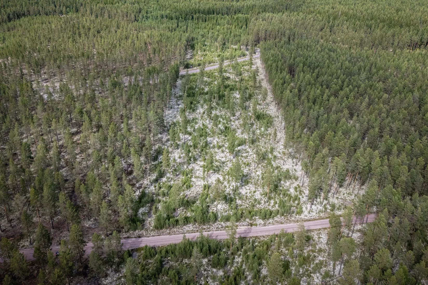 Gård/Skog, LJUSDAL FÖNE 7:9 och LJUSDAL FÖNE 11:7, Ljusdal