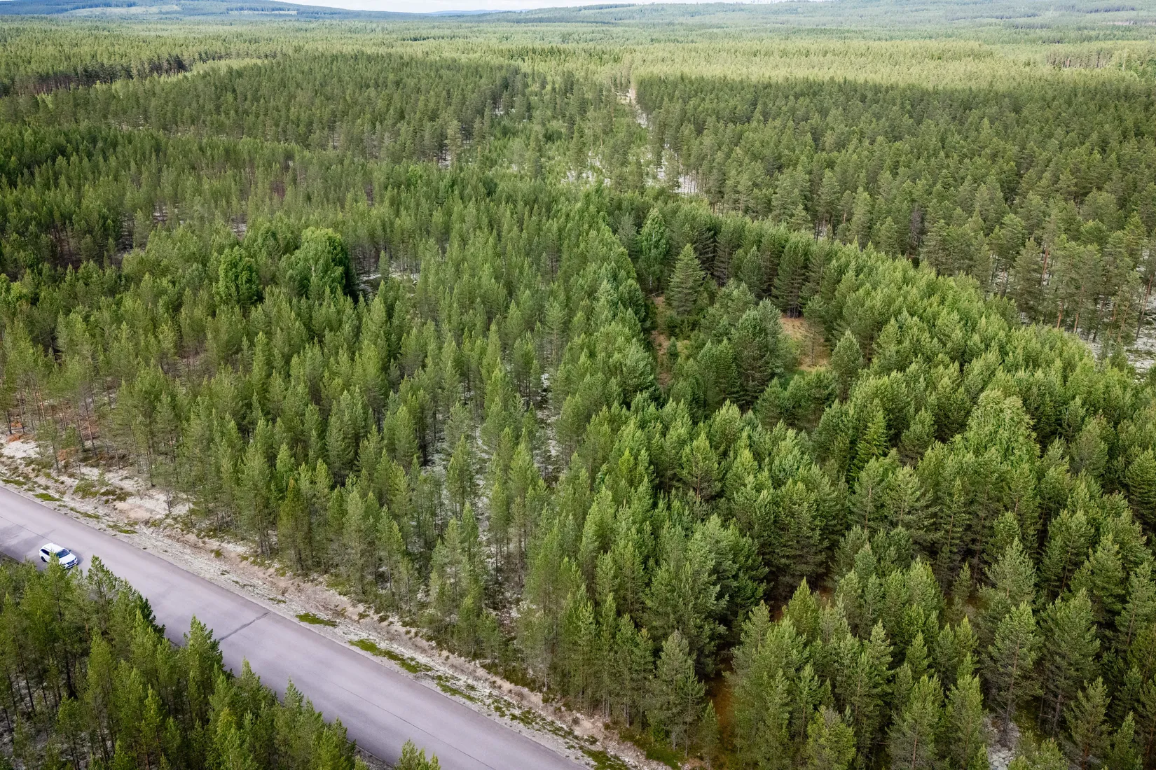 Gård/Skog, LJUSDAL FÖNE 7:9 och LJUSDAL FÖNE 11:7, Ljusdal