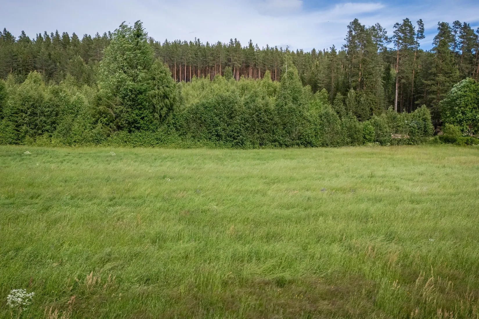 Gård/Skog, LJUSDAL FÖNE 7:9 och LJUSDAL FÖNE 11:7, Ljusdal