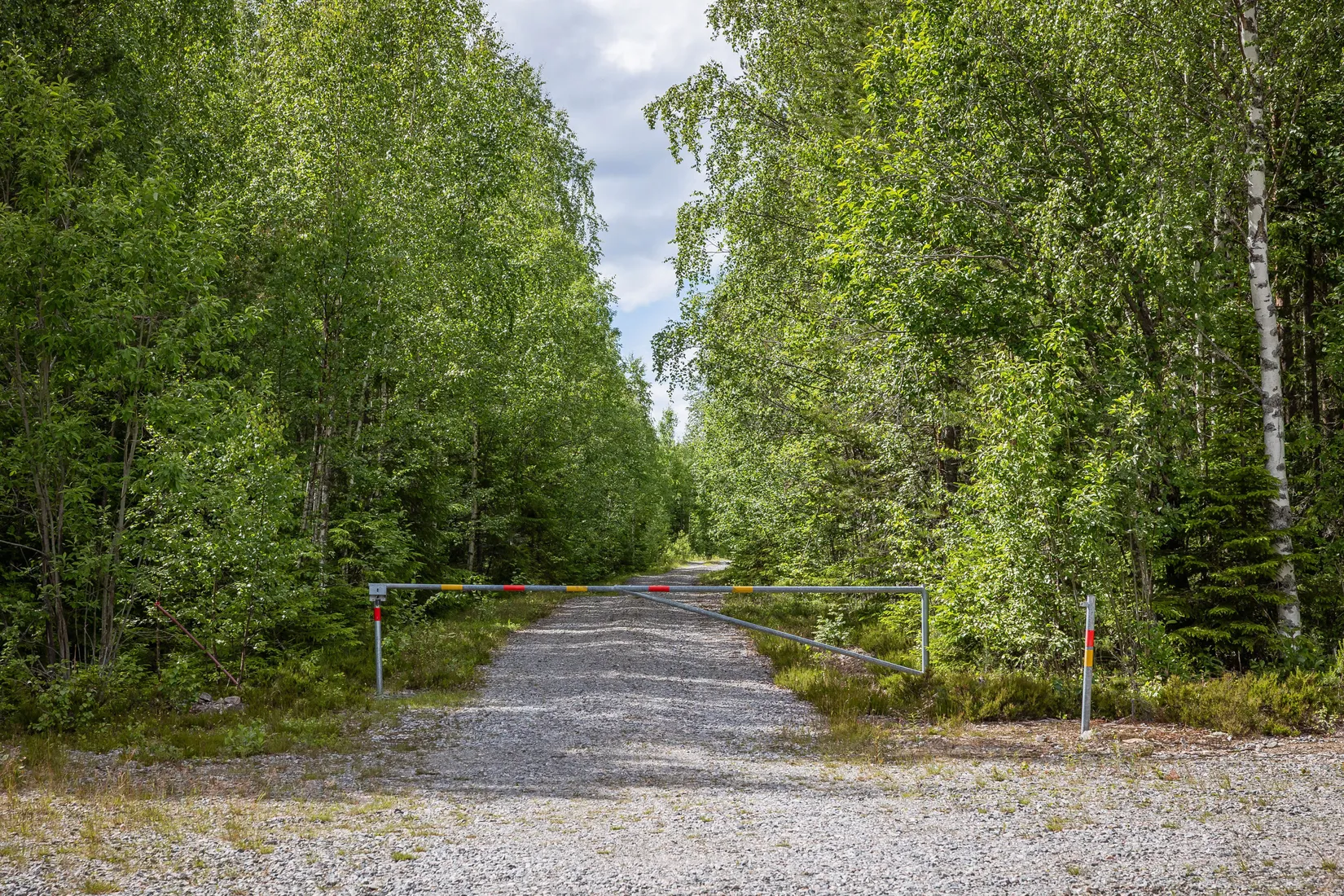 Gård/Skog, LJUSDAL FÖNE 7:9 och LJUSDAL FÖNE 11:7, Ljusdal