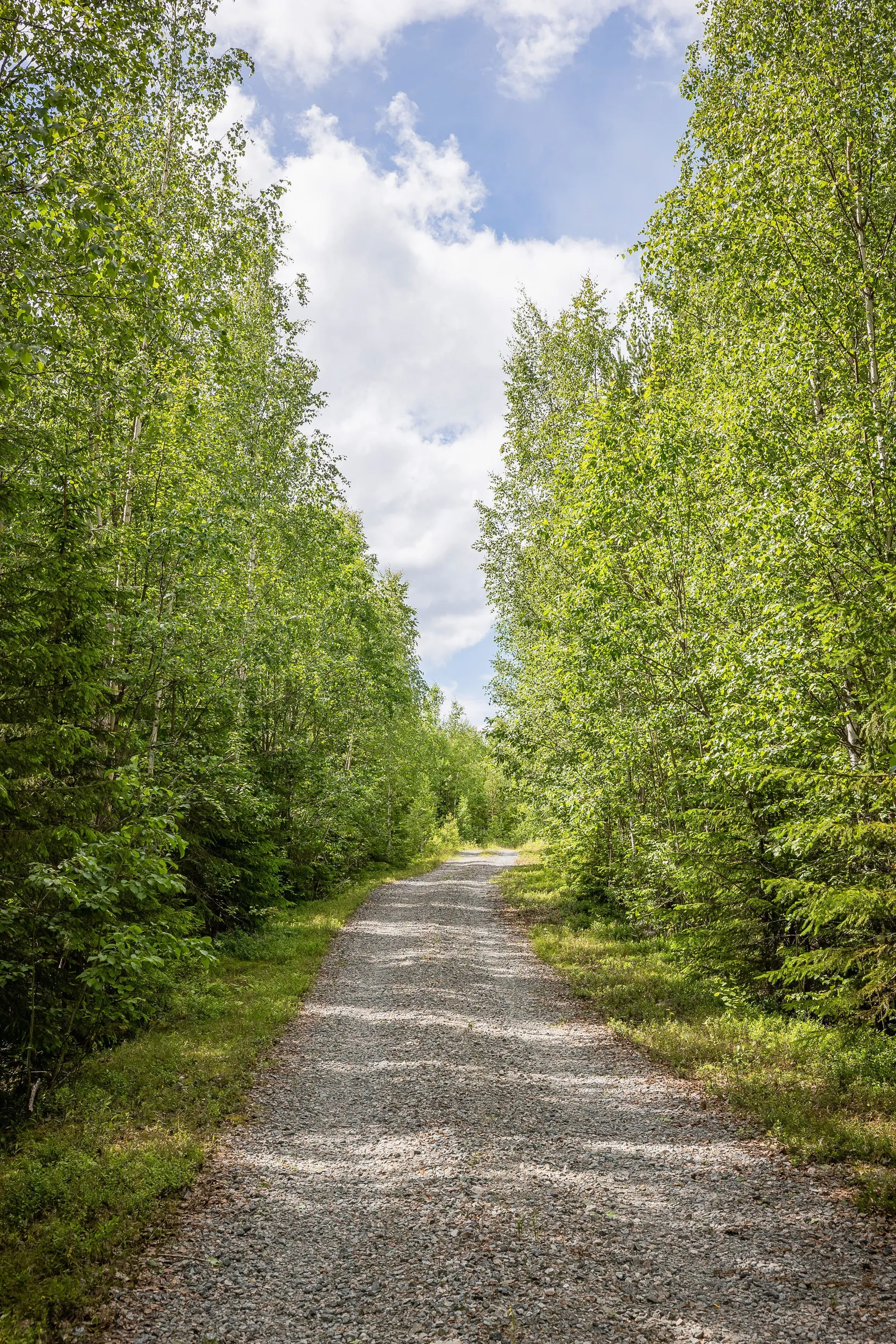 Gård/Skog, LJUSDAL FÖNE 7:9 och LJUSDAL FÖNE 11:7, Ljusdal