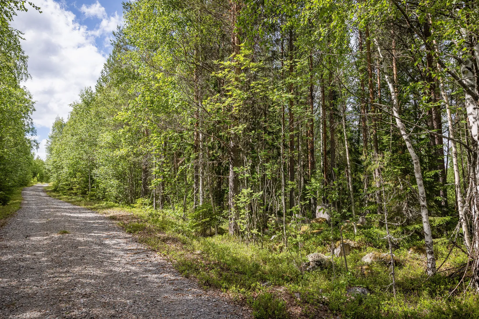 Gård/Skog, LJUSDAL FÖNE 7:9 och LJUSDAL FÖNE 11:7, Ljusdal