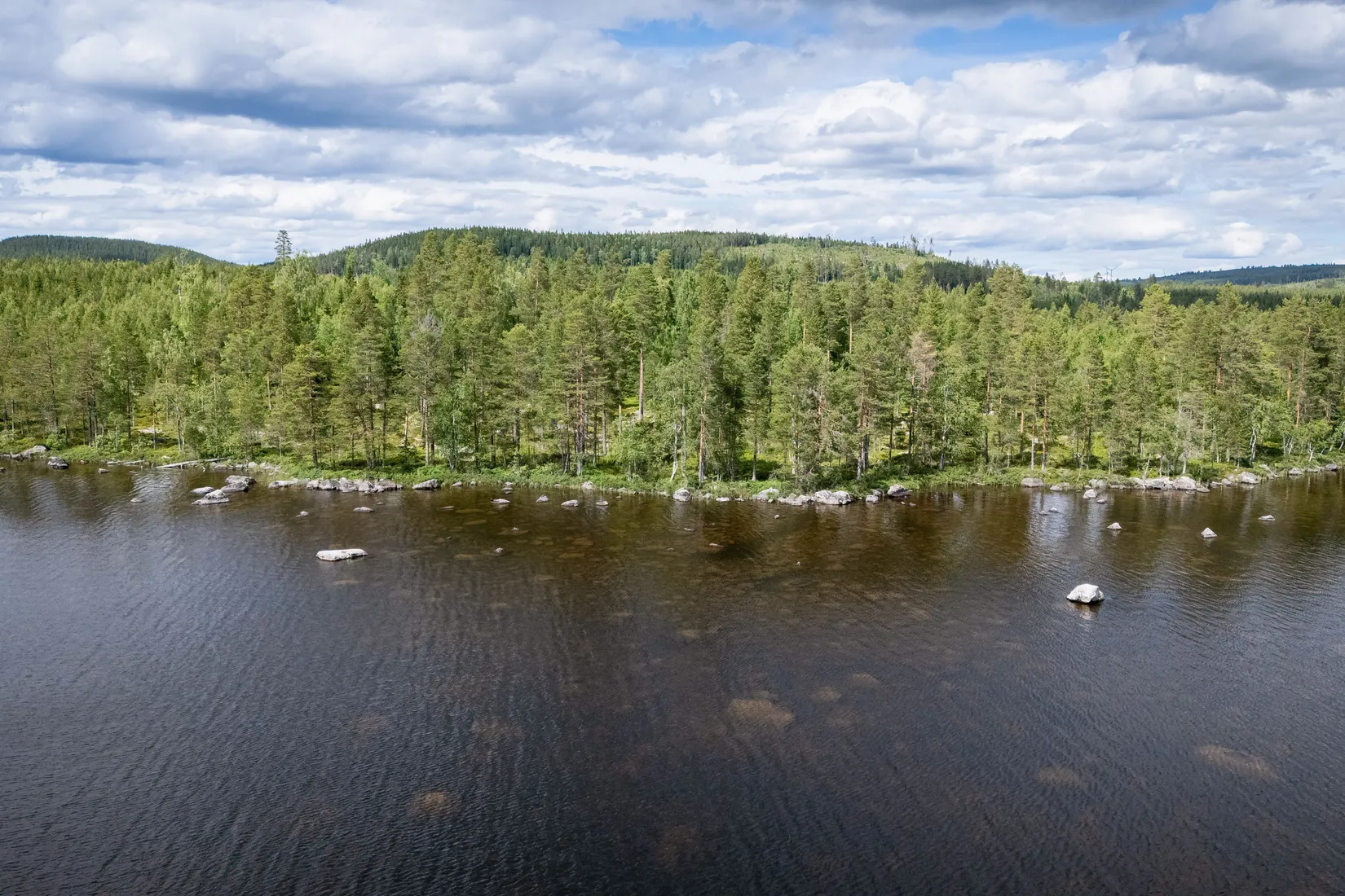 Gård/Skog, LJUSDAL FÖNE 7:9 och LJUSDAL FÖNE 11:7, Ljusdal