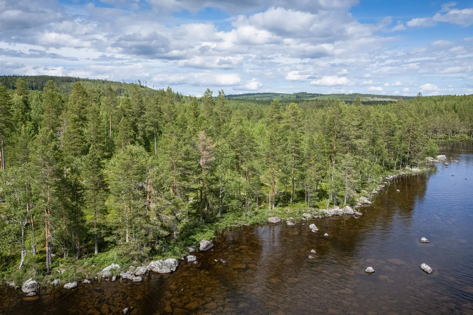 Gård/Skog, LJUSDAL FÖNE 7:9 och LJUSDAL FÖNE 11:7, Ljusdal