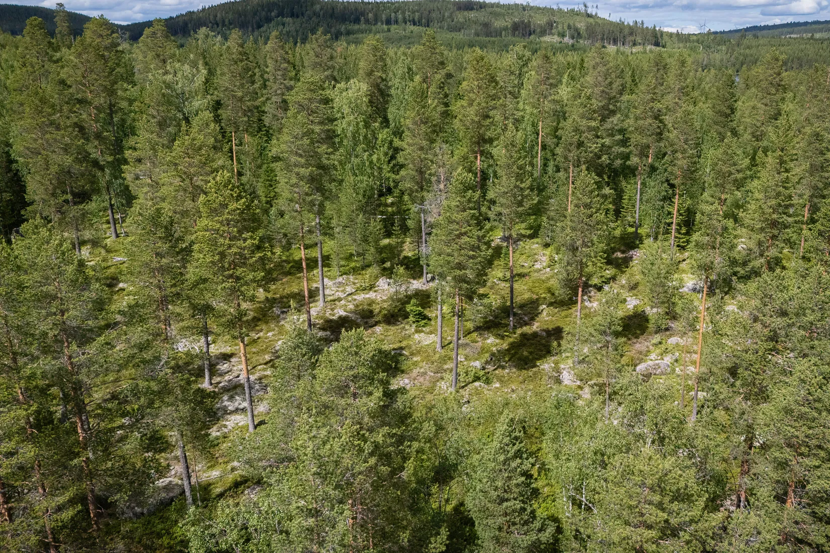 Gård/Skog, LJUSDAL FÖNE 7:9 och LJUSDAL FÖNE 11:7, Ljusdal